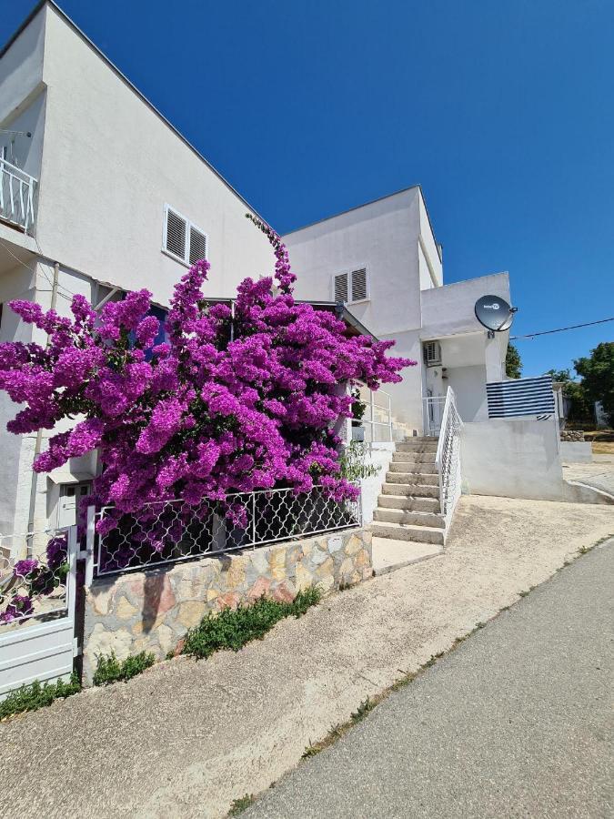 Maslenica-Bougainvillea Extérieur photo