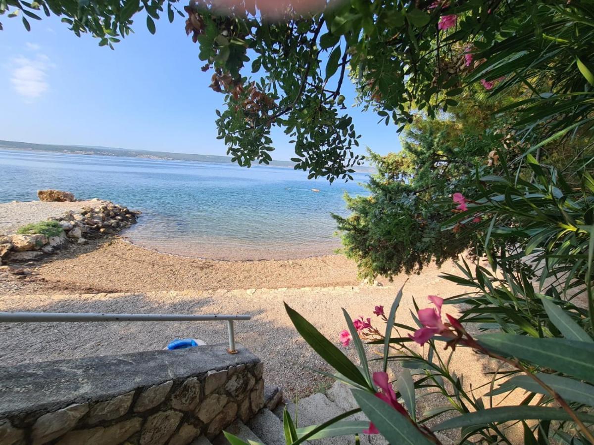 Maslenica-Bougainvillea Extérieur photo